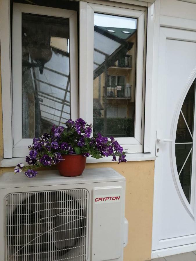 Apartment "Garden" On Gunduliceva 8 诺威萨 外观 照片